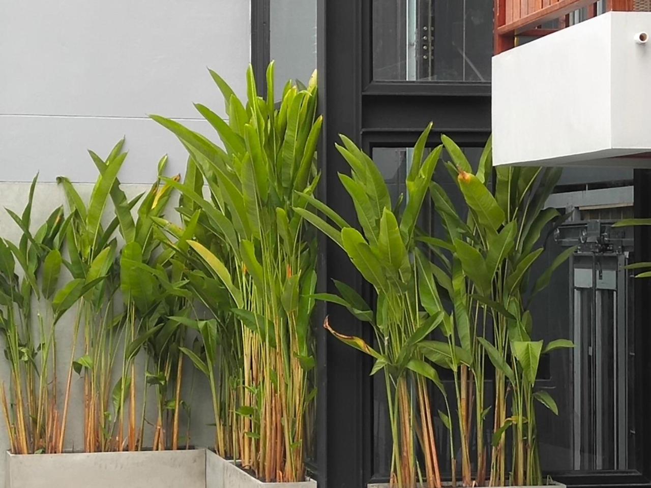 Hotel De Wualai Chiang Mai